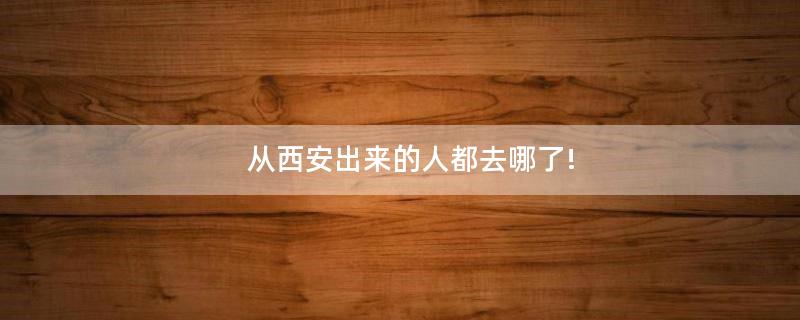 從西安出來的人都去哪了!