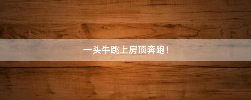 一頭牛跳上房頂奔跑！