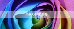涉疫火龍果已售罄！