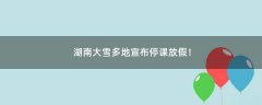 湖南大雪多地宣布停課放假！