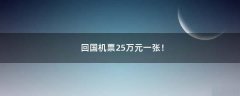 回國(guó)機(jī)票25萬(wàn)元一張！