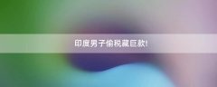印度男子偷稅藏巨款!